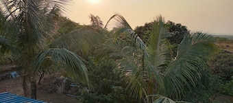 Homestay offers families a serene hilltop retreat surrounded by nature.