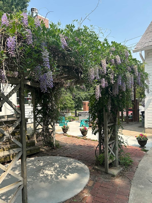 A garden with a wooden pergola covered in purple flowers, brick pathway, and outdoor seating.