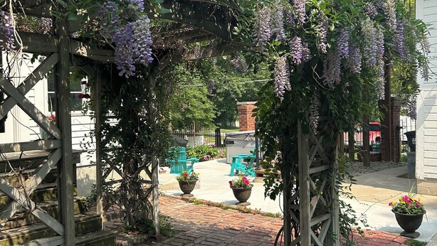 A garden with a wooden pergola covered in purple flowers, brick pathways, and outdoor seating.