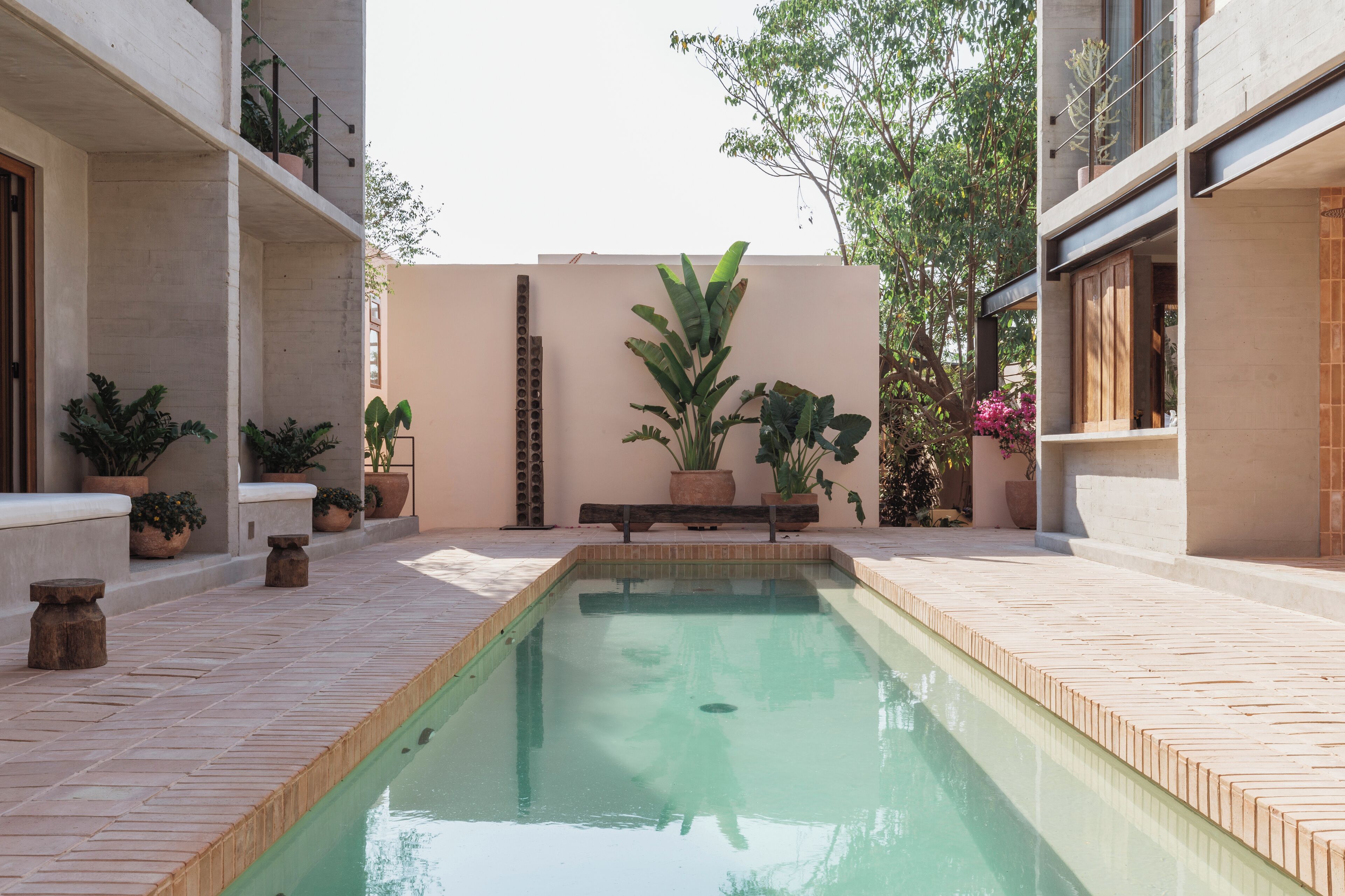 A rectangular pool with a tiled deck, surrounded by potted plants and a beige wall.