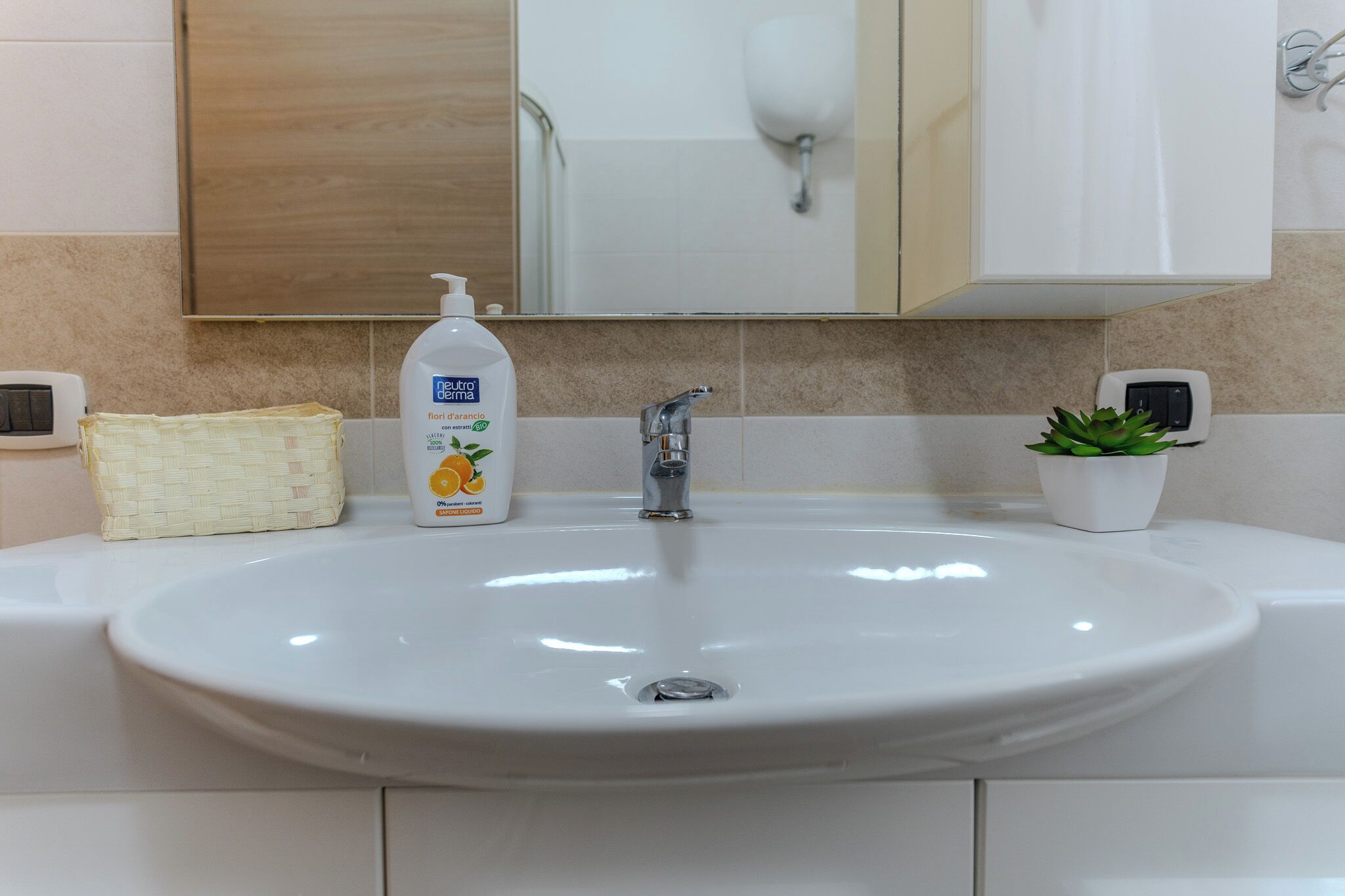 Un bany amb un lavabo blanc, una ampolla de sabó líquid, una petita planta en test i un mirall sobre el lavabo.