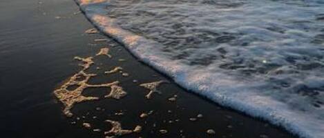 Sun-loungers, beach towels