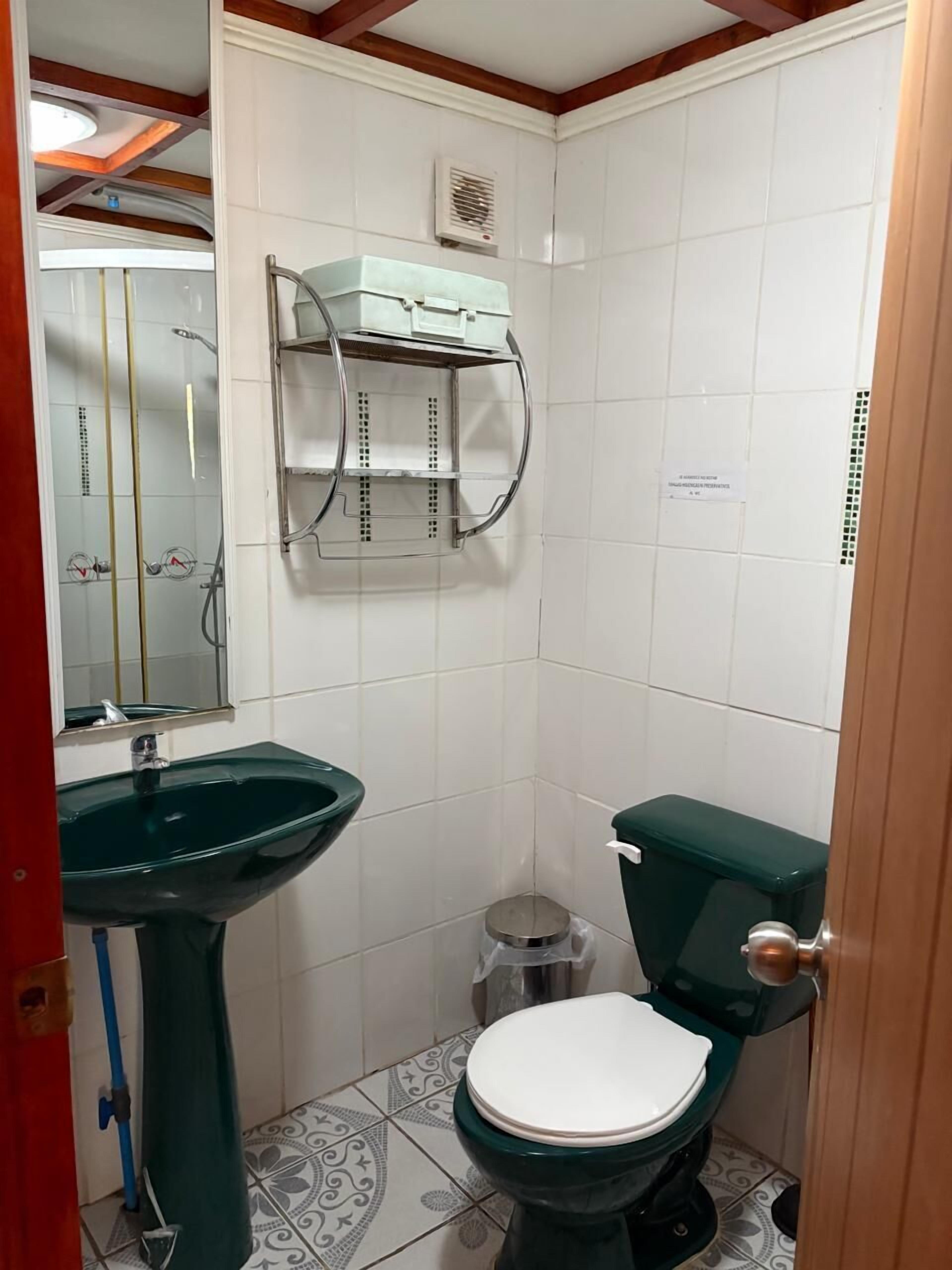 Pieni kylpyhuone, jossa on vihreä pesuallas, wc-istuin, peili ja hylly, jossa on hygieniatuotteita.
