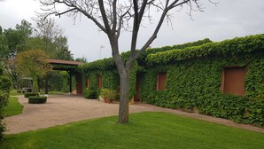 A courtyard with a paved walkway, a tree, and a building partially covered in ivy. - casa rural la badia (Lucillos)