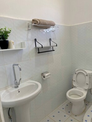 Shower, towels, soap, toilet paper