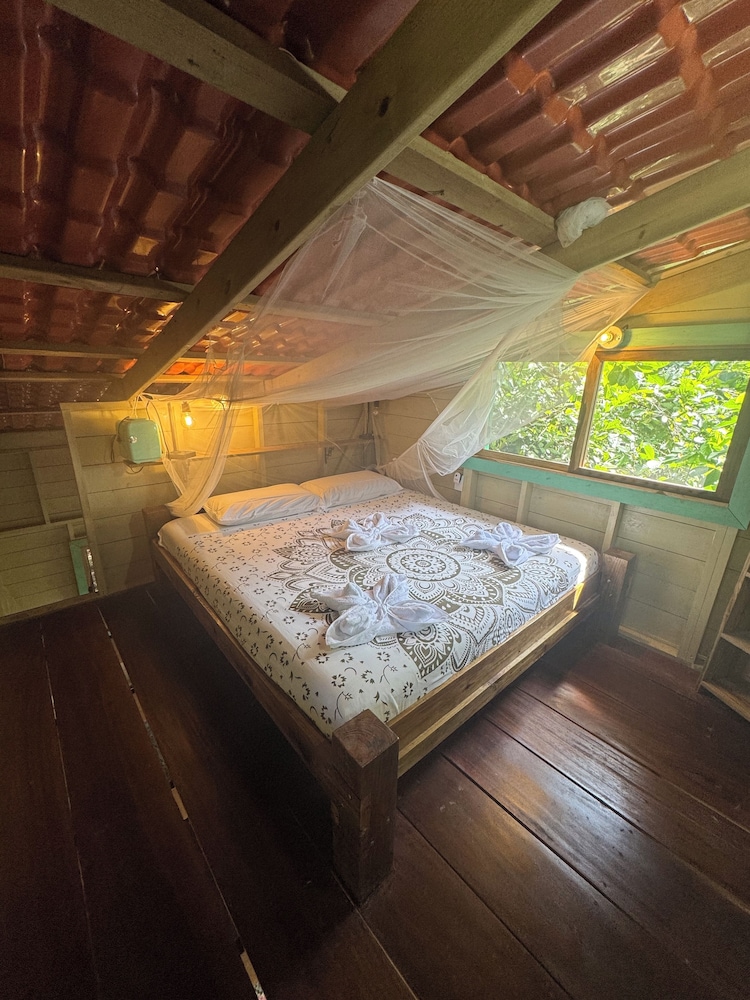 Solved Which is the LEAST appropriate consideration for - Chegg - Mokey Cabin Objectives Often Seriousness