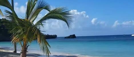 Sun-loungers, beach towels