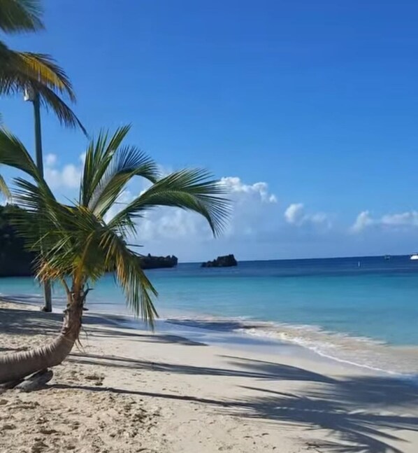 Camastros y toallas de playa 