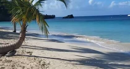 Grand Estate, West Bay. Ocean View, Pool & Waterfall. 5 minutes walk to beach.