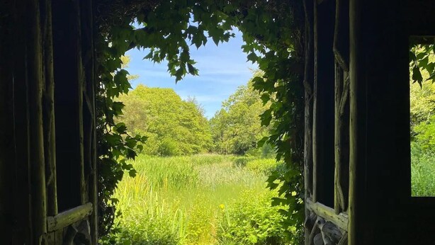 An open wooden structure with a view of a grassy field and trees. - Idyllic Cottage Sleeps 4 pet Friendly (Appleby-in-Westmorland)