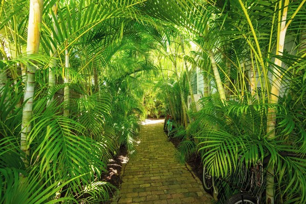 المنطقة المحيطة بالمنشأة