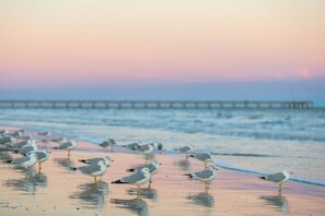 Una spiaggia nelle vicinanze