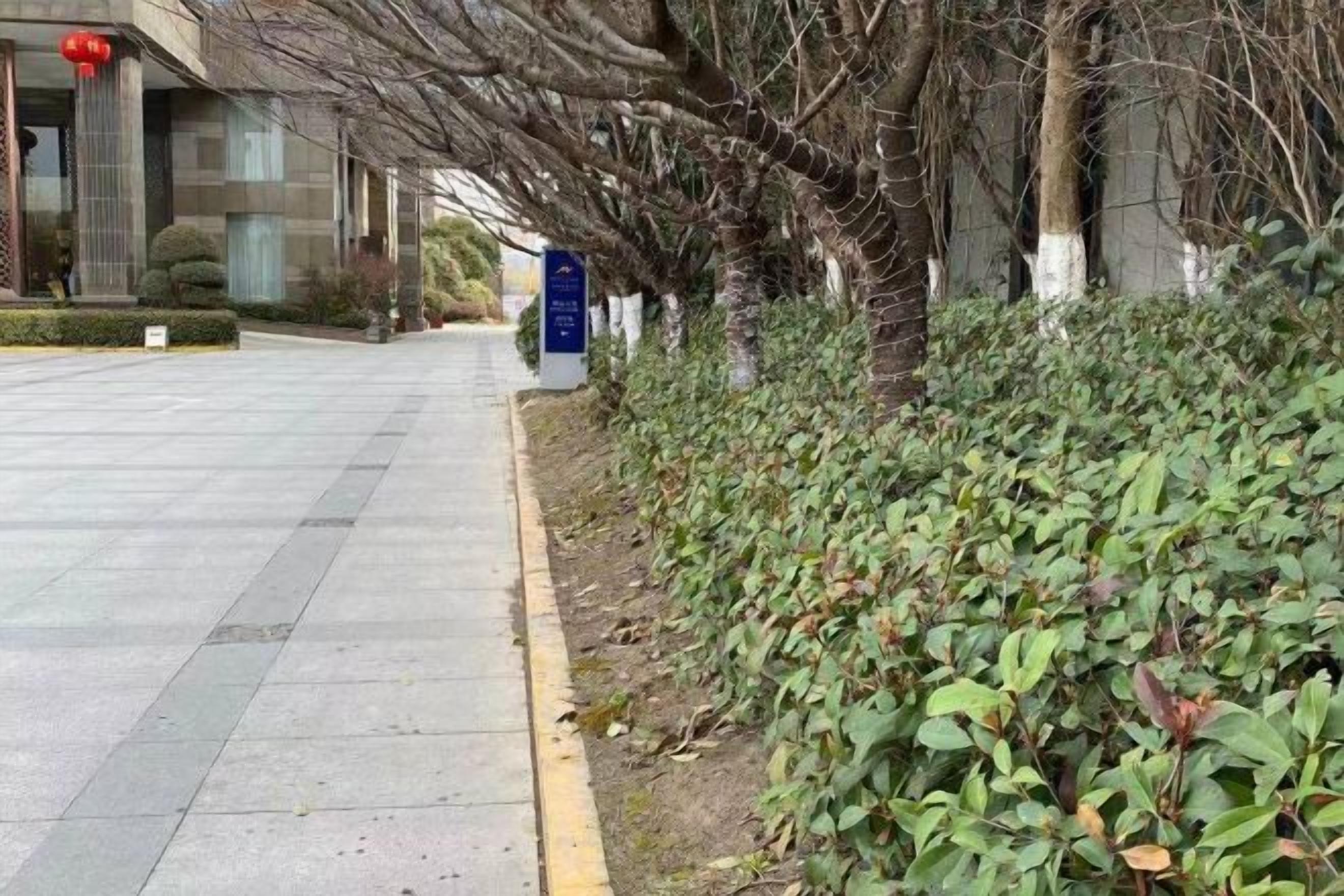 Un camino pavimentado que conduce a un edificio con un letrero azul, rodeado de follaje y árboles.