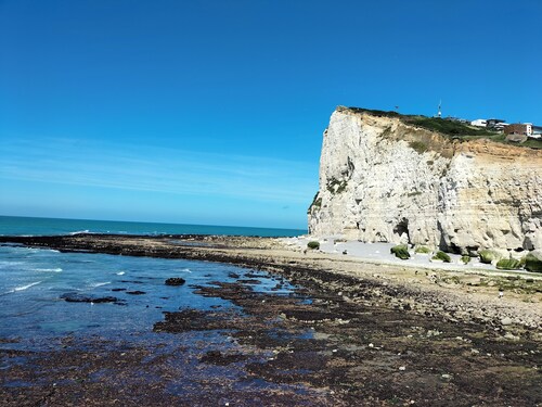 Villa Reine Marguerite, au calme en ville et a la mer !