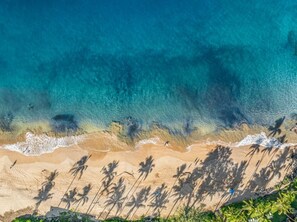 An aerial view of a beach with clear blue water, sandy shore, and palm tree silhouettes.
