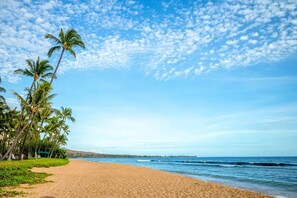 Beach nearby - Beachfront Kihei Studio: Full Kitchen + AC + Pool (Kihei)