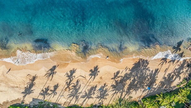 Vista aérea de una playa con aguas turquesas transparentes, orilla arenosa y siluetas de palmeras.
