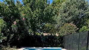 Una piscina con agua azul cristalina, rodeada de abundante vegetación y una valla.