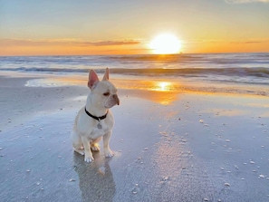 Ubicación cercana a la playa