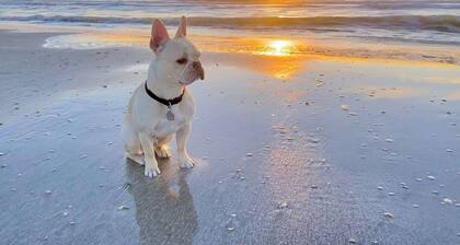 New! Pet & Family Friendly*On the Bay