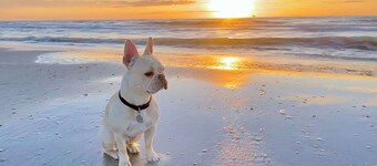 New! Pet & Family Friendly*On the Bay
