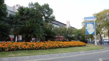 Área da propriedade