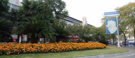 Área da propriedade