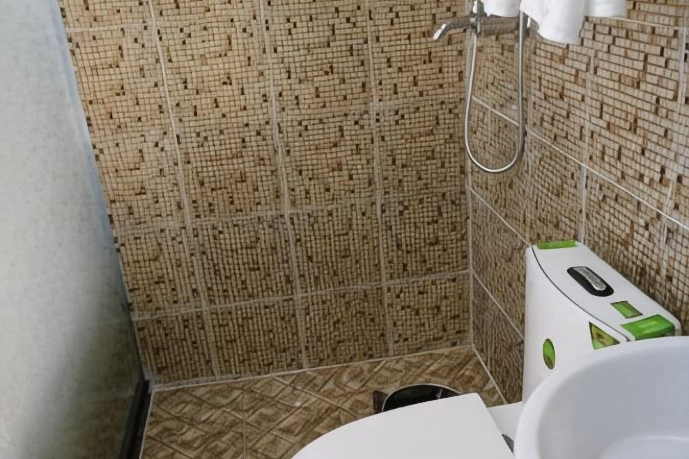 A bathroom with patterned tiles, a shower, and a toilet with green accents.