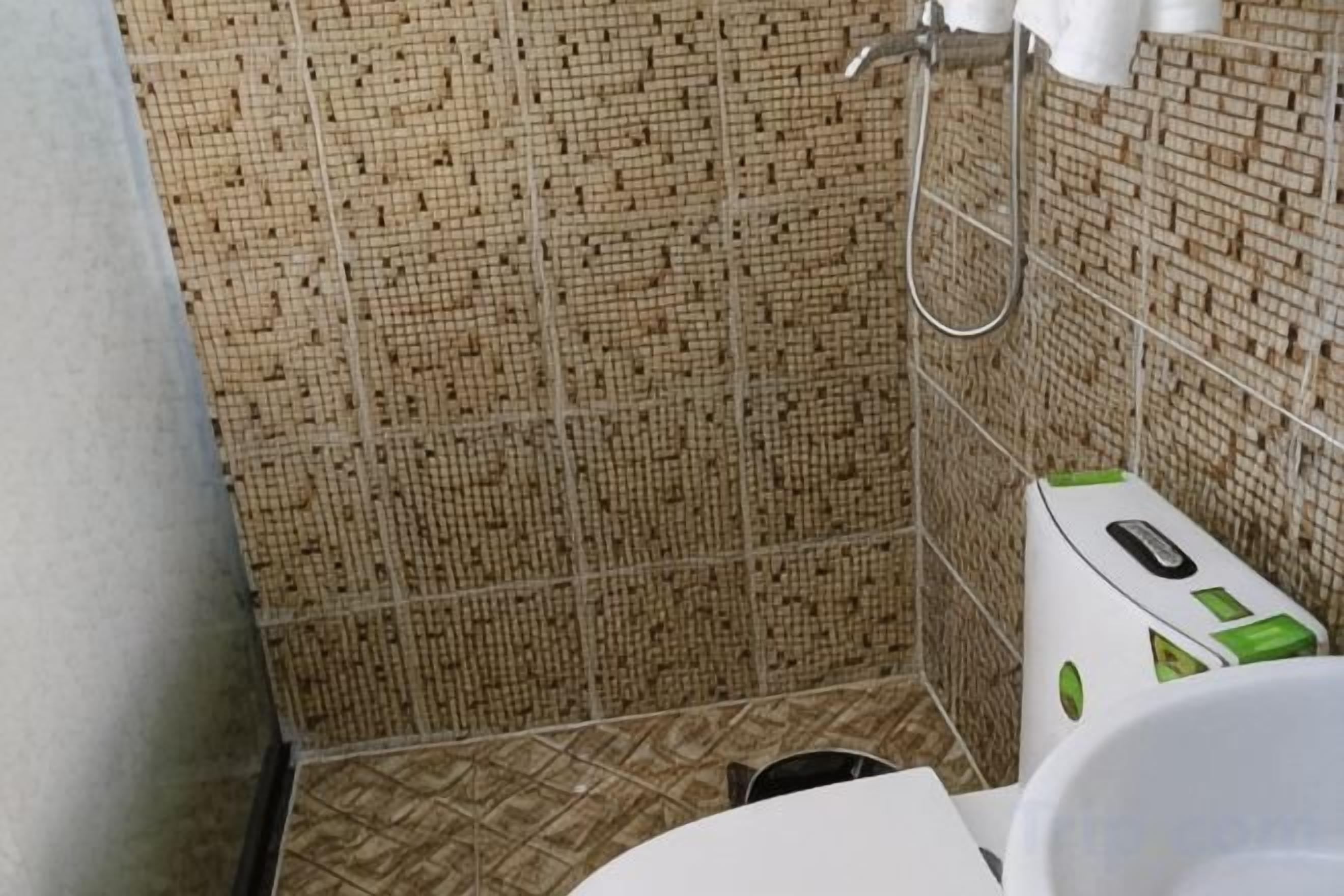 Ein Badezimmer mit gefliesten Wänden, einer Dusche und einem WC in Grün und Weiß.