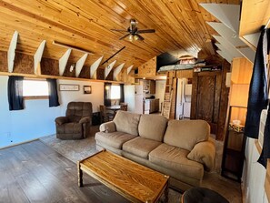 Smart TV, fireplace, DVD player, books
