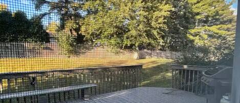 テラス / パティオ