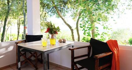 Cozy 2-bedroom apartment overlooking the Ionian sea.