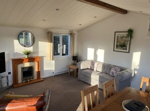 TV, fireplace, DVD player - Cosy Helvellyn Lodge - Wood Fired Hot Tub (Natland)