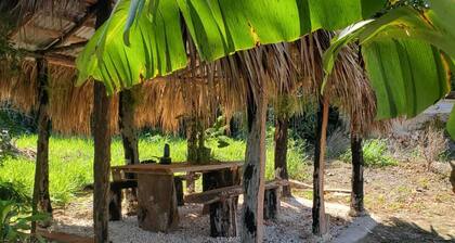 Welcome to your Jamaican Cabin in the Mountains