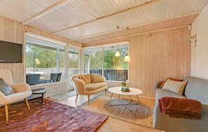 تلفزيون ذكي، مدفأة