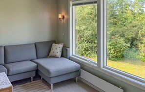 Smart-TV, Kamin