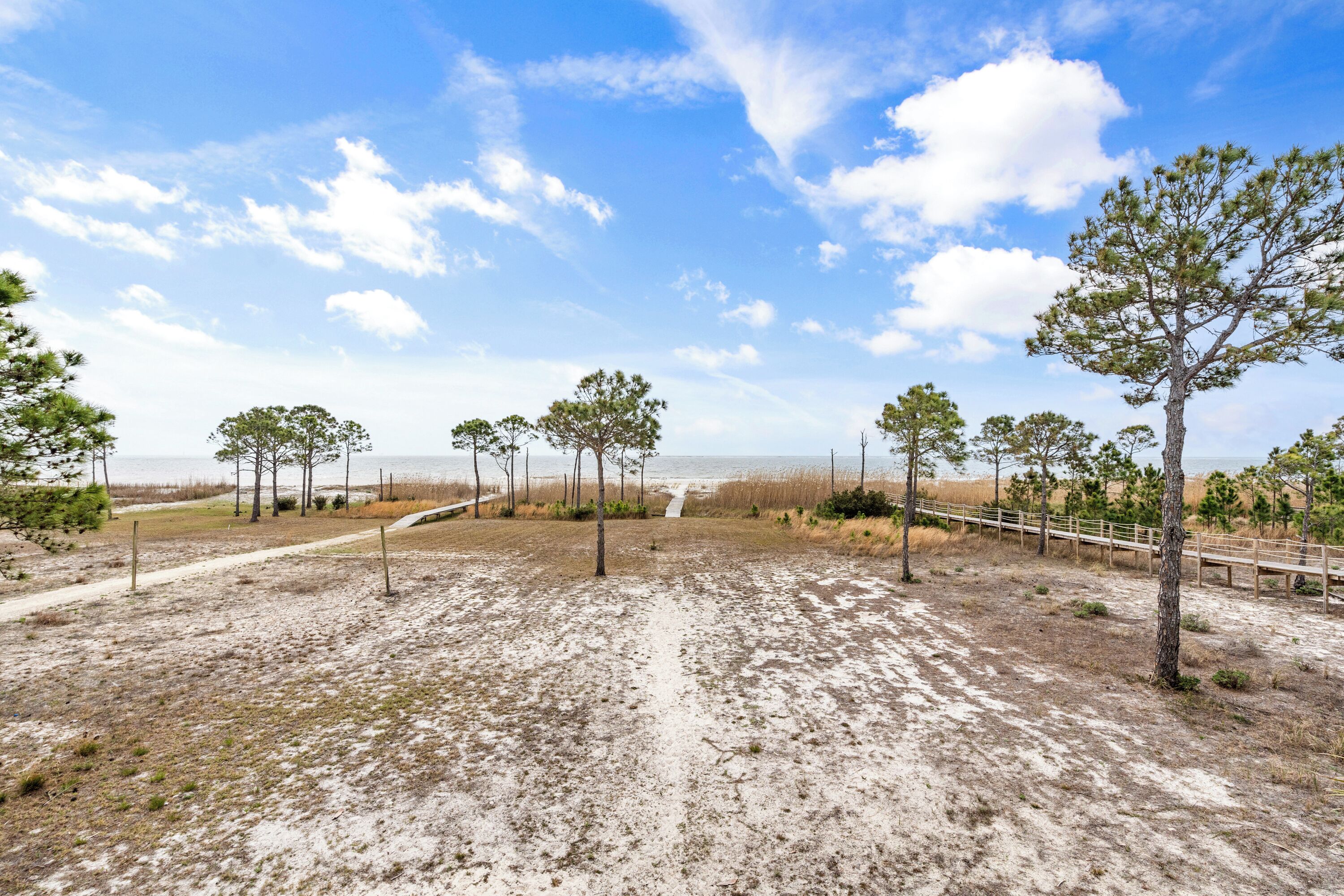 A sandy landscape with a pathway leading to a beach, surrounded by young trees and a wooden fence.