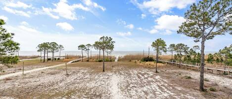 A sandy landscape with a pathway leading to a beach, surrounded by young trees and a wooden fence.