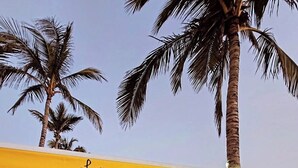 An outdoor dining area with a yellow awning labeled "Love on the Beach," wooden deck, and palm trees.