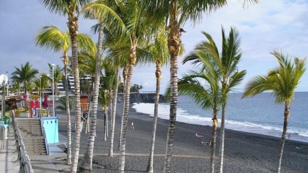 A beach with palm trees, a rocky shoreline, and a pier with buildings.