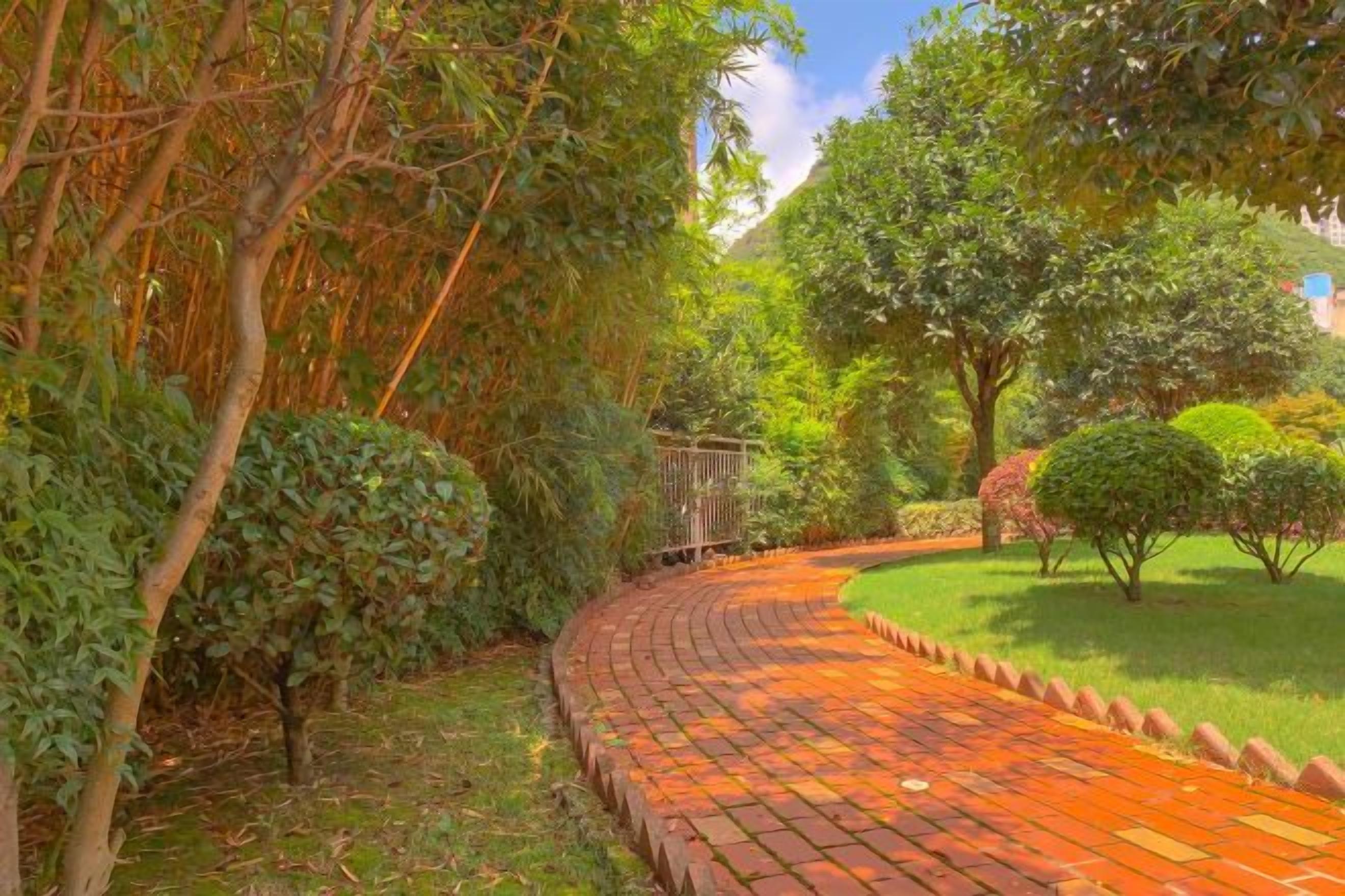 A curved brick pathway in a garden with various trees and shrubs.