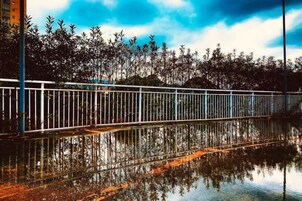 Un puente metálico con barandilla, rodeado de árboles y cielo despejado.
