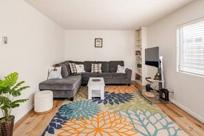 Älytelevisio, kirjoja