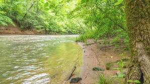 A riverbank with a sandy shore, surrounded by dense green foliage and trees. - Pinhoti Ridge Retreat Cabin 2, Skyline (Talladega)