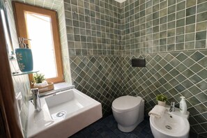 Shower, hair dryer, bidet, towels