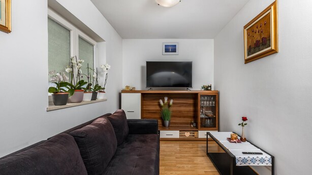 En kompakt opholdsstue med en mørkebrun sofa, et fladskærms-TV monteret over et træskab, og et lille bord med en vase blomster.