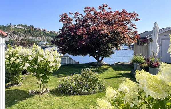A garden with a large tree, a lawn, and a body of water in the background.