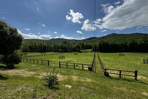 Ulkoalueet