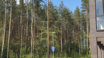 Ulkoalueet