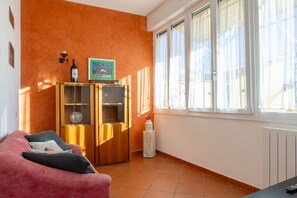 TV - Fantastic apartment with terrace on Via Gioberti (Firenze)